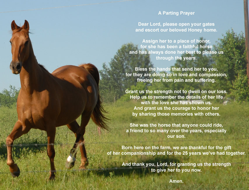 Prayer-For-Horses-On-Our-Farm