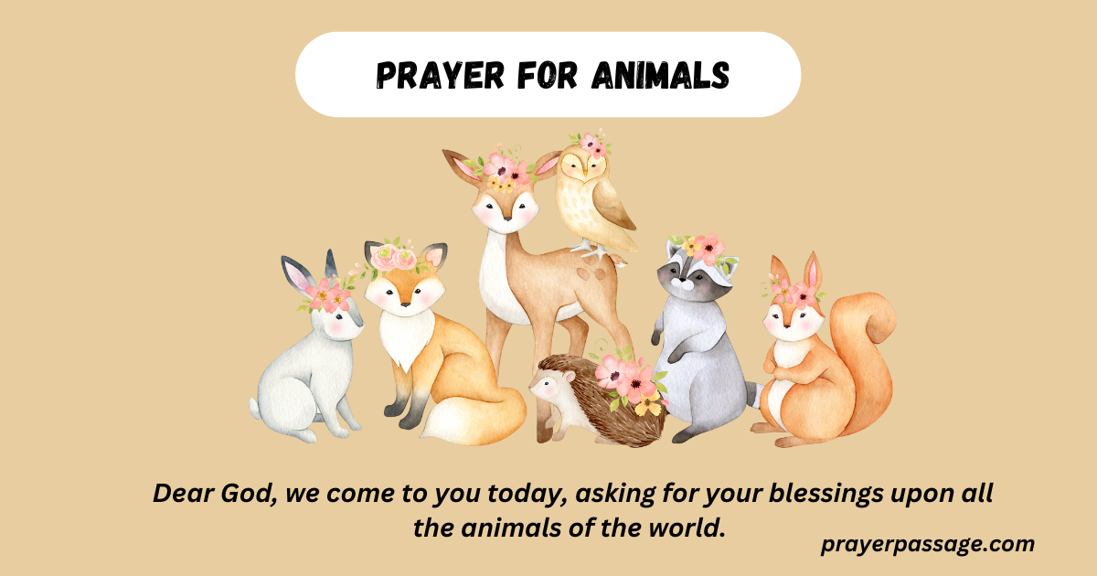 prayer for animals